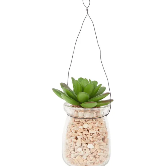 Kunstplanten & -Bloemen>Merk Absolu Chic Kunstvetplant In Hangpot Transparant,Groen