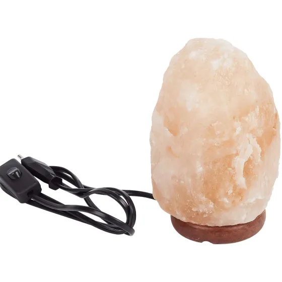 Lampen>LSC Smart Connect Absolu Chic Zoutsteenlamp Roze