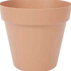 Bloempotten><noscript><img width=