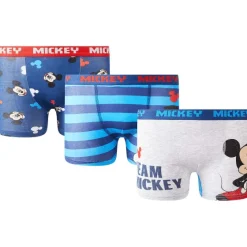 Ondergoed>Paw Patrol Boxershorts Print