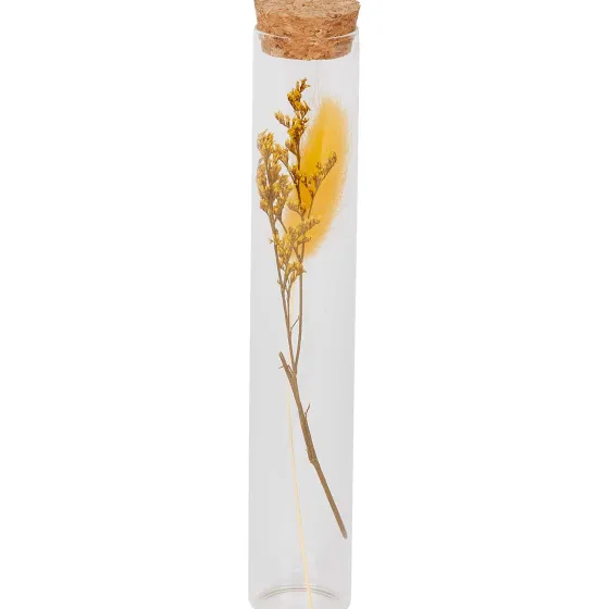 Woonaccessoires>Merk Buisje Met Droogbloemen