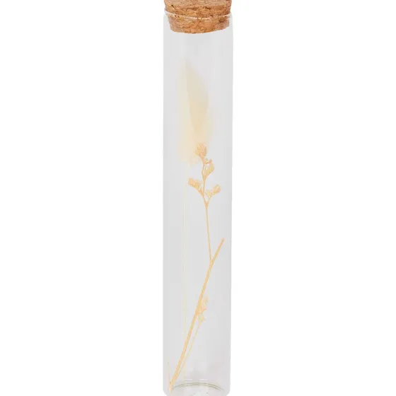 Woonaccessoires>Merk Buisje Met Droogbloemen