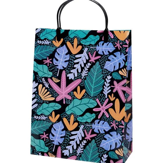 Inpakken>Merk Cadeautas Xl Print