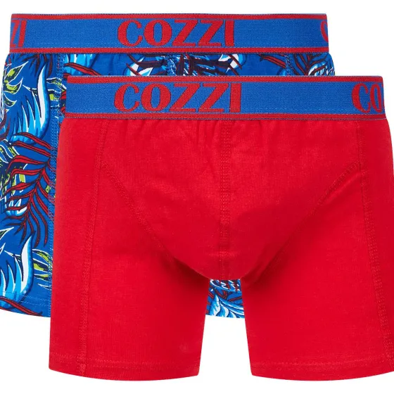 Ondergoed>Cozzi Boxershorts Print,Meerkleurig