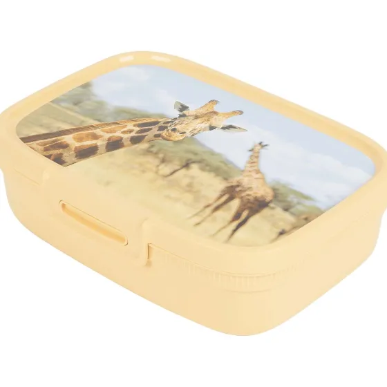 Bewaren & Meenemen>Curver Lunchbox Met Print Blauw,Geel,Groen,Roze