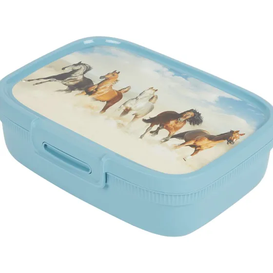 Bewaren & Meenemen>Curver Lunchbox Met Print Blauw,Geel,Groen,Roze