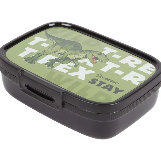 Bewaren & Meenemen>Curver Lunchbox Met Print Blauw,Geel,Groen,Roze