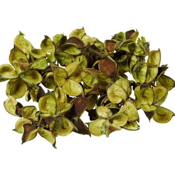 Kunstplanten & -Bloemen>Merk Decoratieblaadjes Beige,Geel,Groen,Roze,Wit
