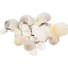 Woonaccessoires>Merk Decoschelpen