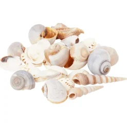 Woonaccessoires><noscript><img width=