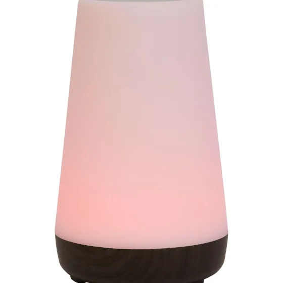 Lampen>LSC Smart Connect Deluxa Touch Lamp