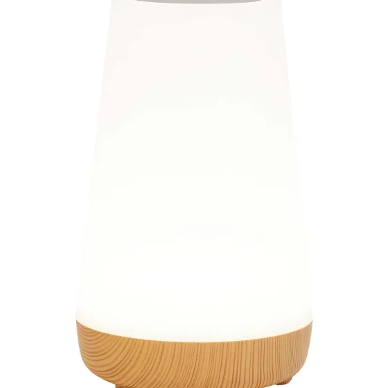 Lampen>LSC Smart Connect Deluxa Touch Lamp