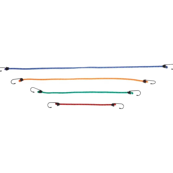 Fietsaccessoires>Walfort Elastieken Binders Met Haken Meerkleurig