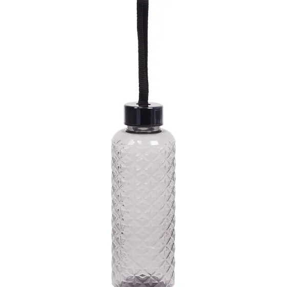 Glazen>Royal Leerdam Excellent Houseware Drinkfles Blauw,Roze,Paars