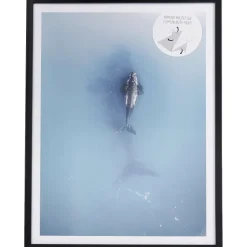 Fotolijstjes>Merk Fotoframe Met Posters Bruin,Zwart