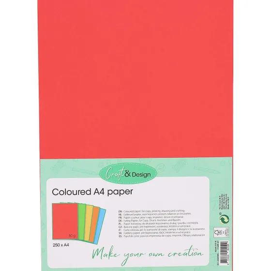 Kaarten>Office Essentials Gekleurd Papier A4 Meerkleurig