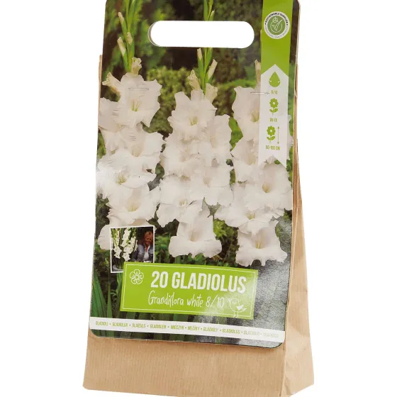 Zaaien & Planten>Green Boots Gladiolen Bloembollen