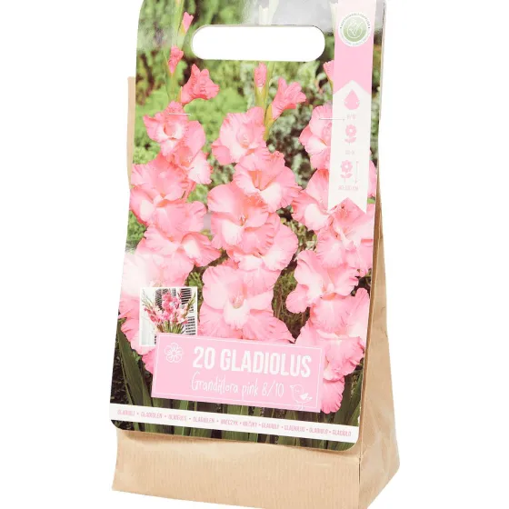 Zaaien & Planten>Green Boots Gladiolen Bloembollen