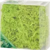 Seizoensdecoratie>Merk Home Accents Decoratief Mos Groen