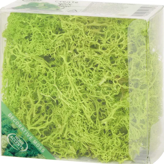 Seizoensdecoratie>Merk Home Accents Decoratief Mos Groen