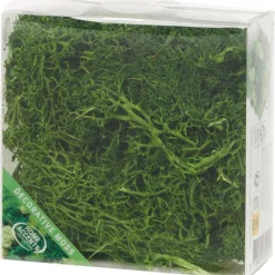 Seizoensdecoratie>Merk Home Accents Decoratief Mos Groen