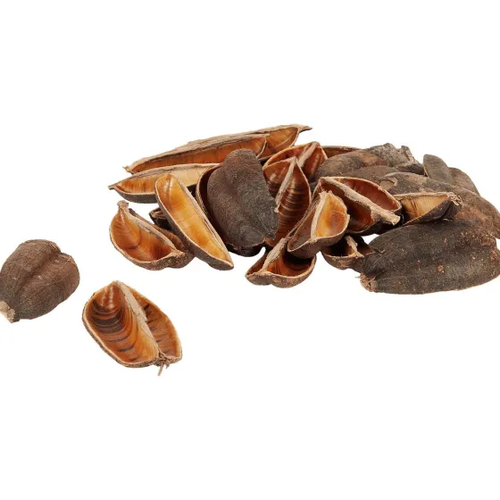 Woonaccessoires>Merk Home Accents Decoratiemateriaal