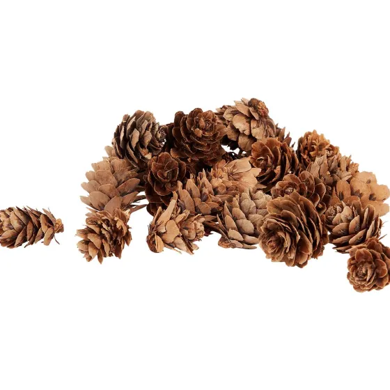 Woonaccessoires>Merk Home Accents Decoratiemateriaal