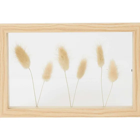 Fotolijstjes>Merk Home Accents Fotolijst Met Droogbloemen Beige