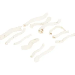 Kunstplanten & -Bloemen>Merk Home Accents Natural Droogmix