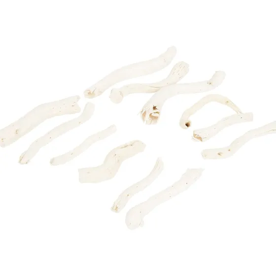 Kunstplanten & -Bloemen>Merk Home Accents Natural Droogmix