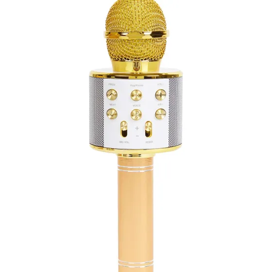 Multimedia Accessoires>Lab31 Karaoke-Microfoon Goud,Zilver,Zwart