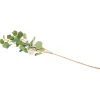 Kunstplanten & -Bloemen>Merk Kunst-Eucalyptus Op Steel Goud,Groen,Rood