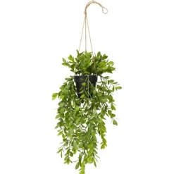 Kunstplanten & -Bloemen>Merk Kunsthangplant Zwart,Groen