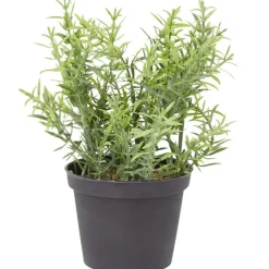 Kunstplanten & -Bloemen>Merk Kunstkruidenplant