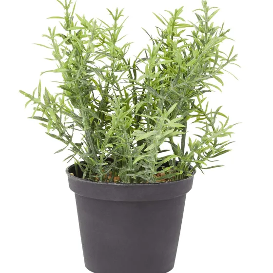 Kunstplanten & -Bloemen>Merk Kunstkruidenplant