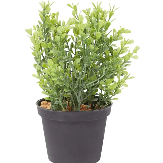 Kunstplanten & -Bloemen>Merk Kunstkruidenplant