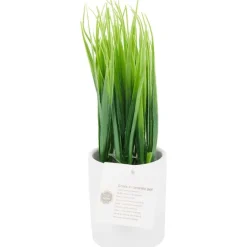 Kunstplanten & -Bloemen><noscript><img width=