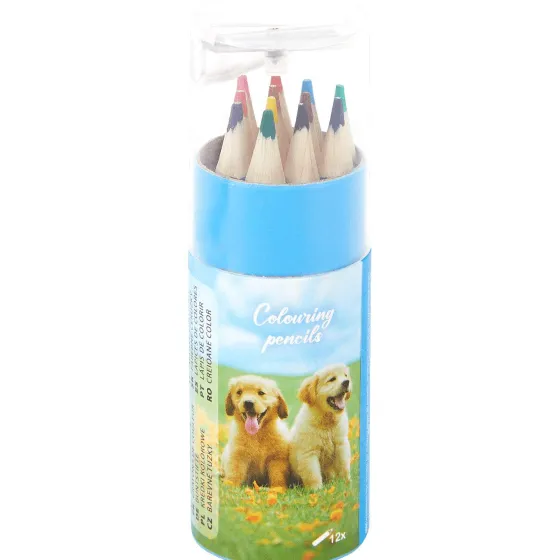 Schrijfwaren>BIC Mini-Kleurpotloden Print,Meerkleurig