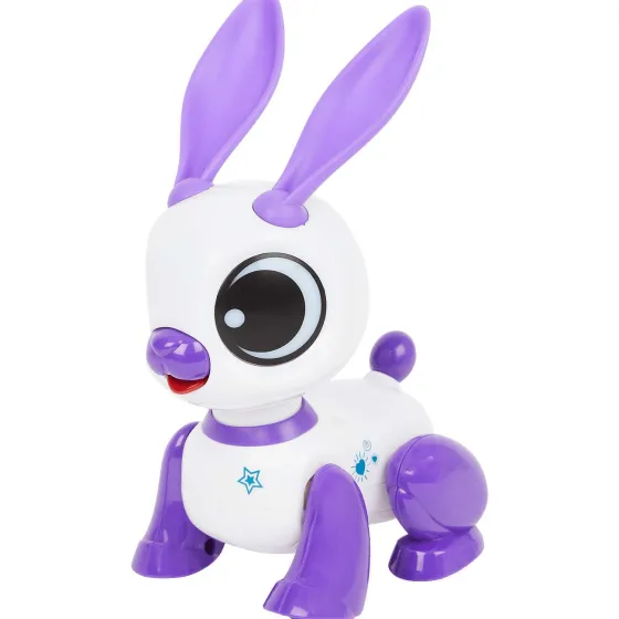 Spellen>Mini Matters Mini-Robotdier Blauw,Roze