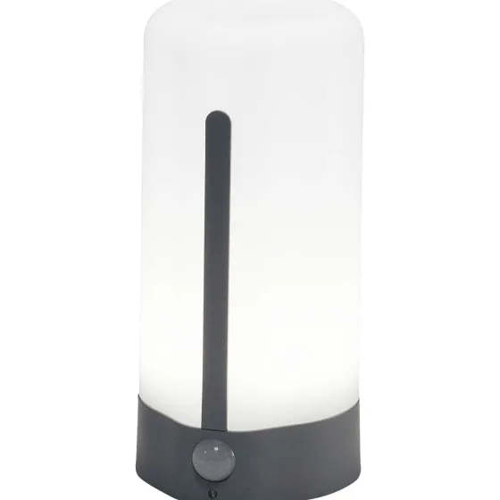 Lampen>LSC Smart Connect Oplaadbare Led-Nachtlamp Zwart,Grijs