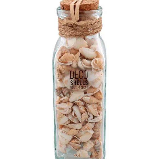 Woonaccessoires>Merk Schelpen In Glazen Fles Meerkleurig