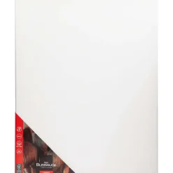 Schilderen>Van Bleiswijck Schildersdoek Wit