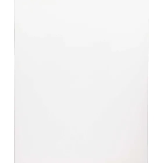 Schilderen>Van Bleiswijck Schildersdoek Wit