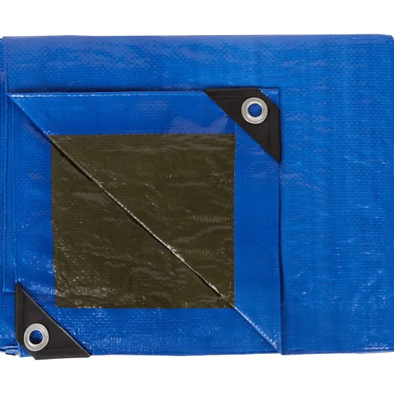 Verfbenodigdheden>Werckmann Dekzeil Blauw
