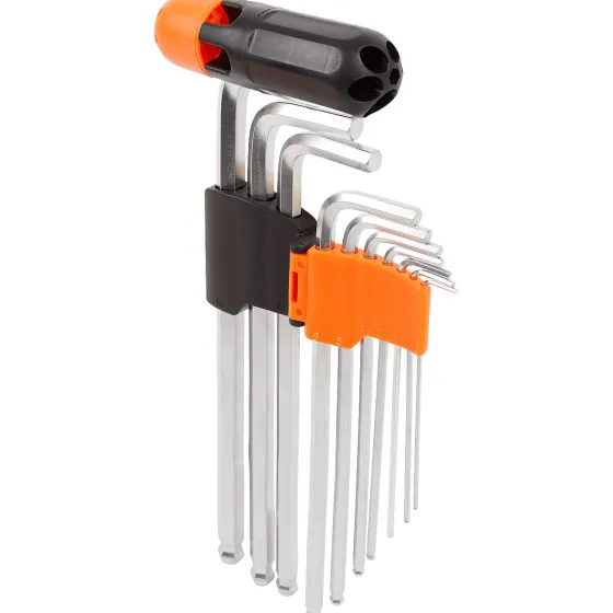 Gereedschap>Werckmann Torx- Of Inbusset