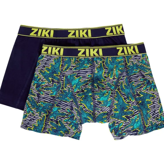 Ondergoed>Ziki Boxershorts Print,Meerkleurig