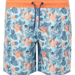 Kleding><noscript><img width=